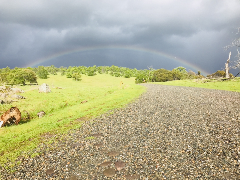 Spenceville Wildlife Area | 14936 Spenceville Rd, Penn Valley, CA 95946, USA | Phone: (530) 538-2236