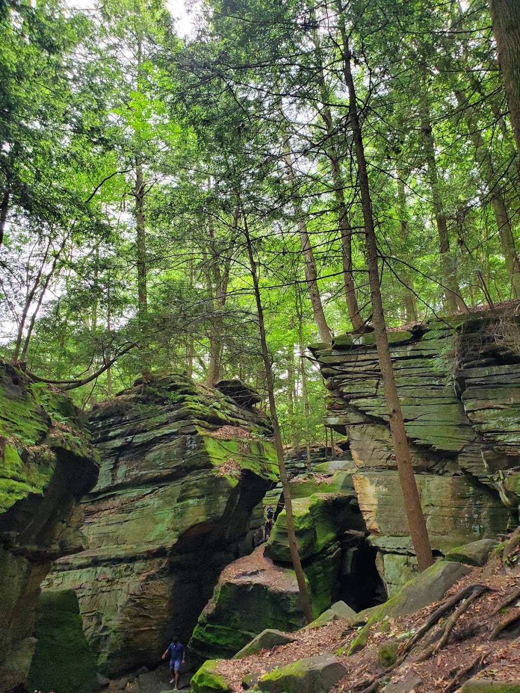 Cuyahoga Valley National Park | Ohio, USA | Phone: (330) 657-2752