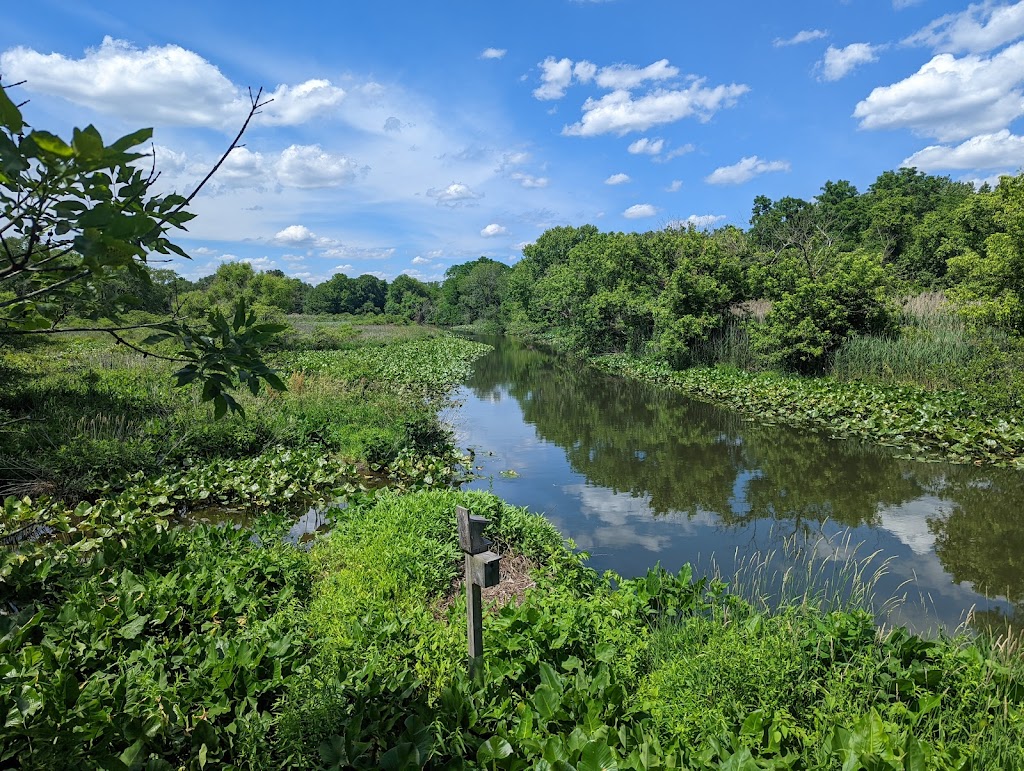 Silver Lake Nature Center | 1306 Bath Rd, Bristol, PA 19007, USA | Phone: (215) 785-1177