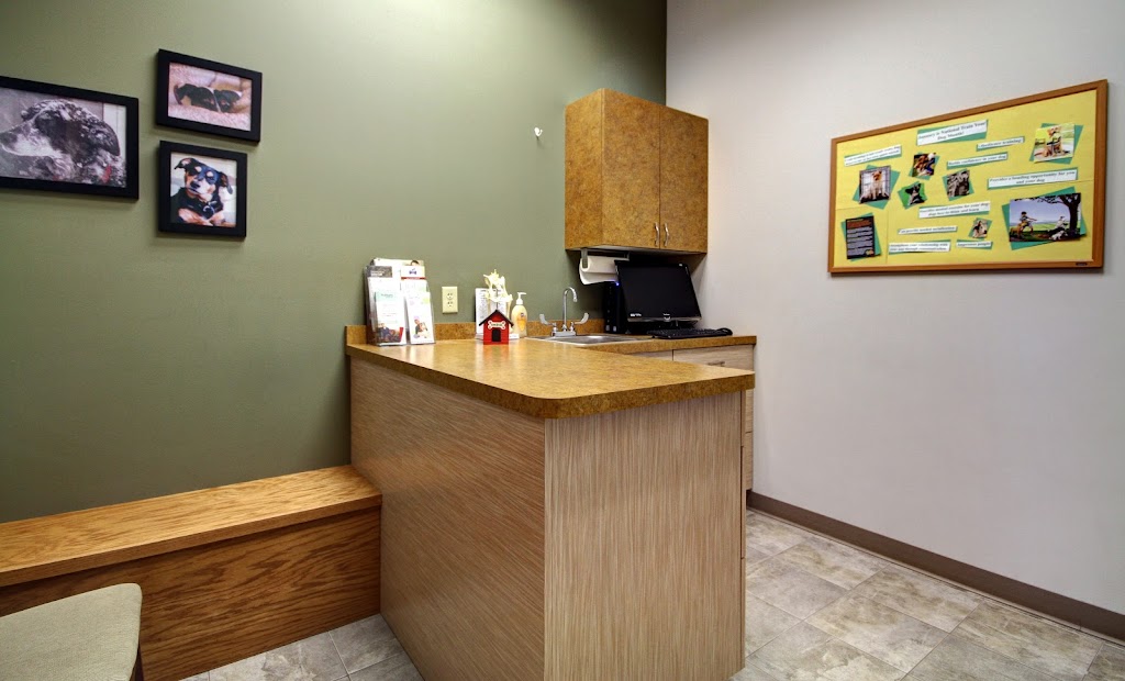 Four Lakes Veterinary Clinic | 4504 Monona Dr, Madison, WI 53716, USA | Phone: (608) 819-6750