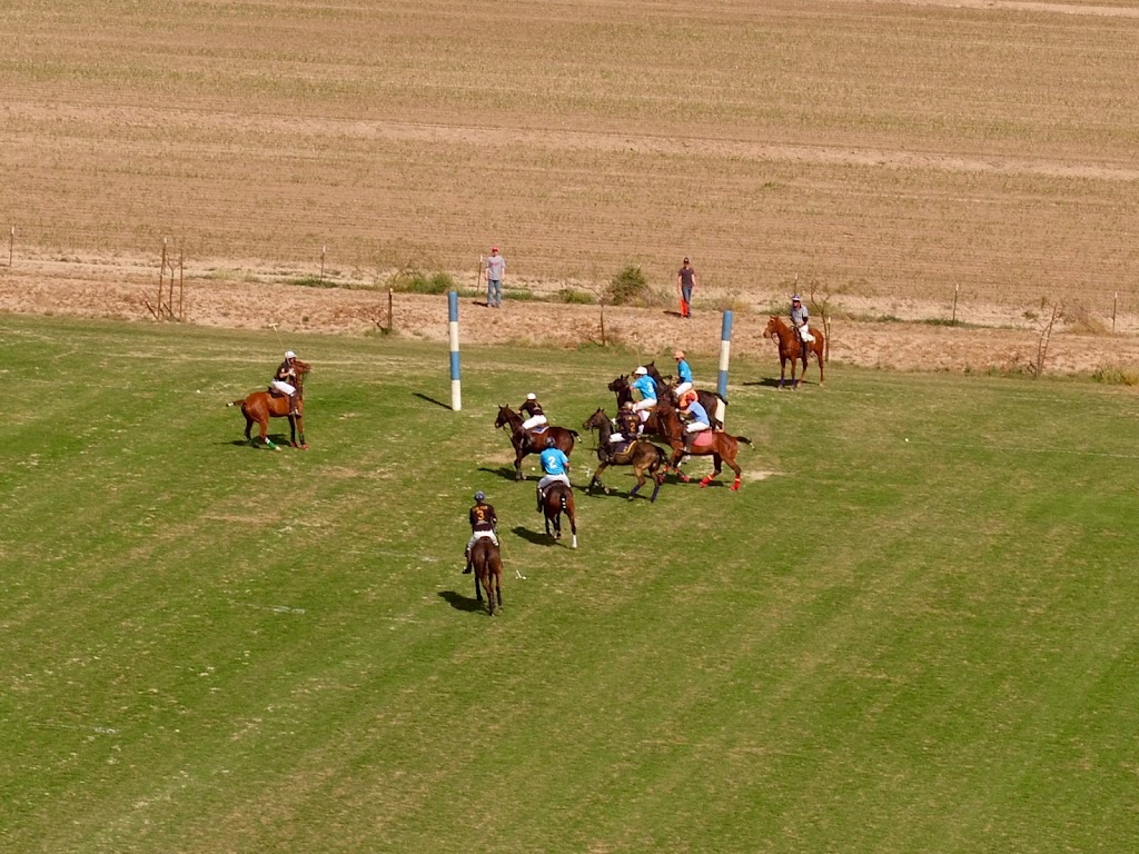 Arizona Polo Club | 29865 W Marsh Rd, Casa Grande, AZ 85193, USA | Phone: (480) 201-4530