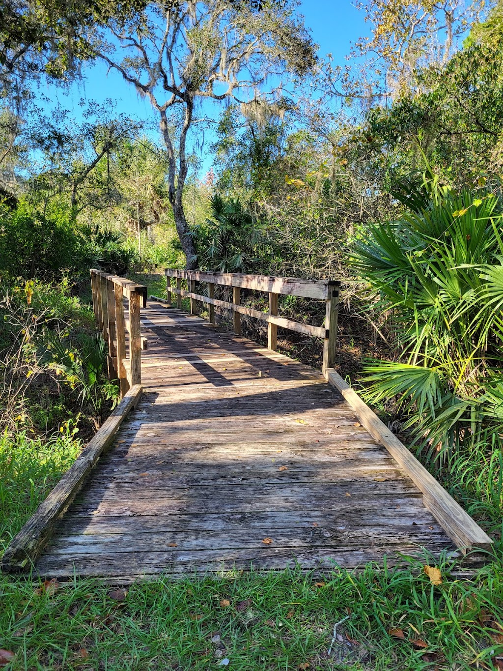 Paynes Creek Historic State Park | 888 Lake Branch Rd, Bowling Green, FL 33834, USA | Phone: (863) 375-4717