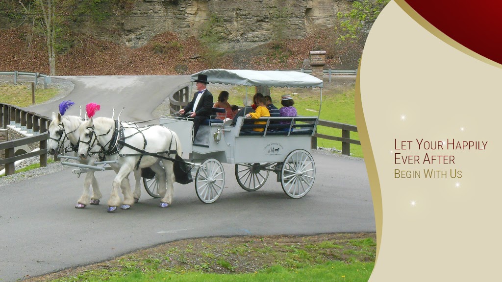 Carriage Limousine Service - Horse Drawn Carriages | 1436 John Campbell Rd, Wellsville, OH 43968, USA | Phone: (330) 532-3866