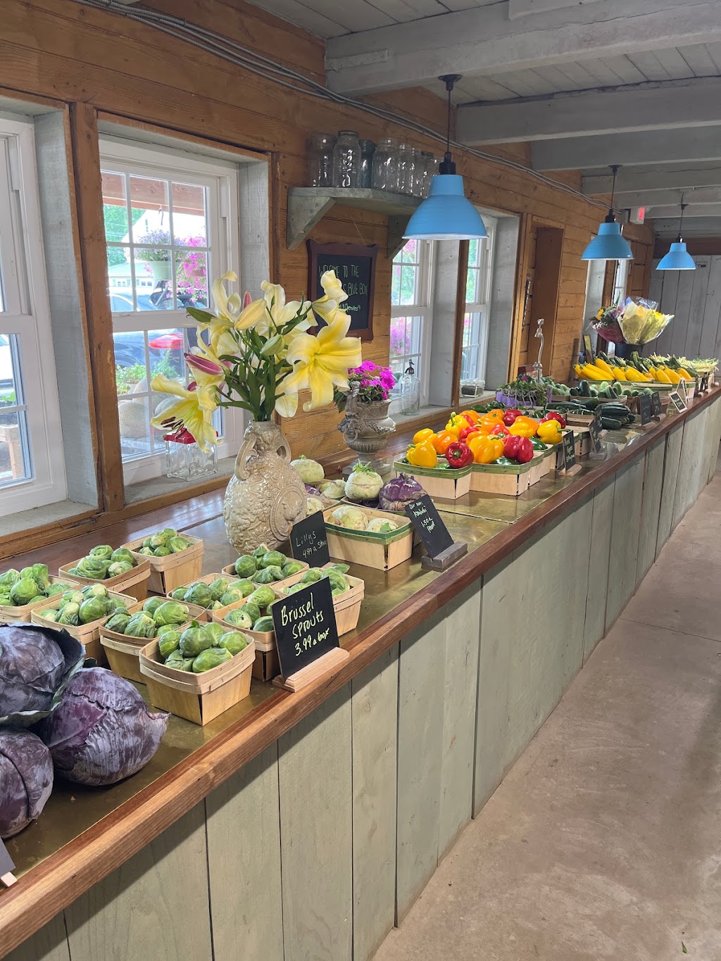 Durrs Bluebox Produce | 297 Monmouth Rd, Wrightstown, NJ 08562, USA | Phone: (609) 410-8201