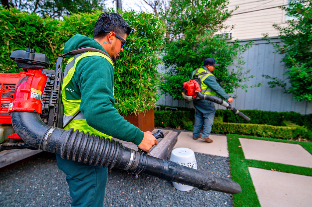 Cedar Crest Gardens | 2842 Singleton Blvd Suite 100, Dallas, TX 75212, USA | Phone: (214) 497-8555