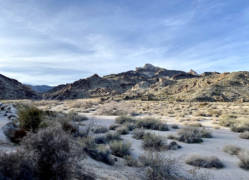 Spirit Mountain Wilderness | COTTONWOOD CV, NV 89046, USA | Phone: (702) 293-8990