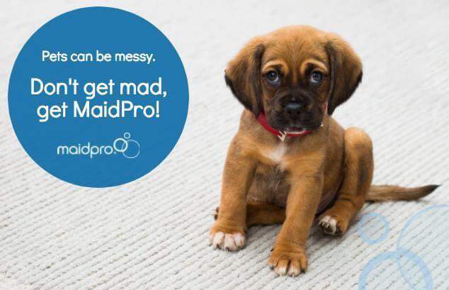 MaidPro Louisville | 9451 Westport Rd #114, Louisville, KY 40241, USA | Phone: (502) 254-9979