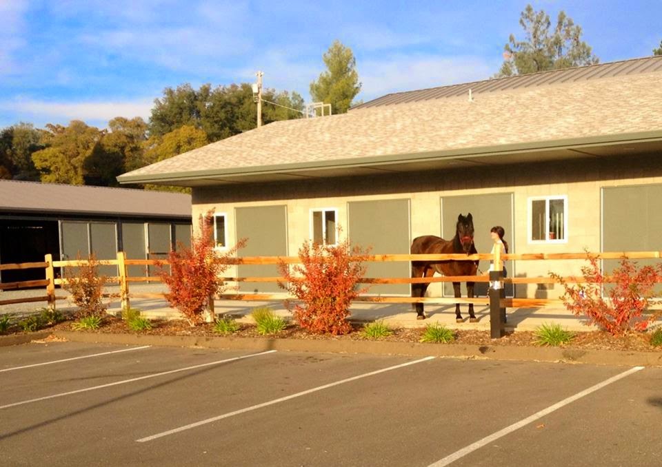 Loomis Basin Equine Medical Center | 2973 Penryn Rd, Penryn, CA 95663, USA | Phone: (916) 652-7645