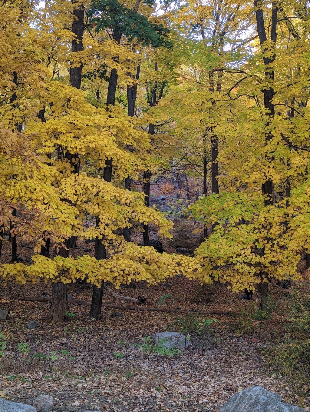 Lake Tiorati Beach - Harriman State Park | 2300 Seven Lakes Dr, Southfields, NY 10975, USA | Phone: (845) 429-8257