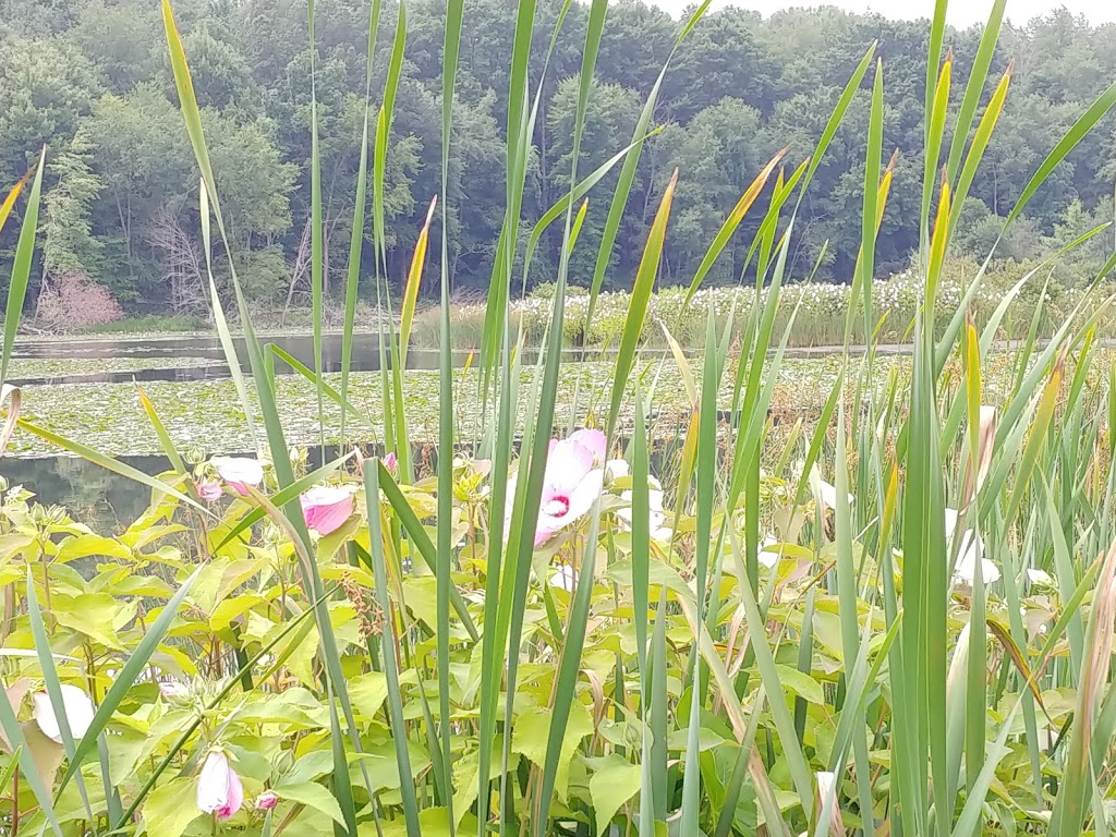 Pleasant Valley Trail | Pleasant Valley Rd, Portersville, PA 16051, USA | Phone: (724) 368-8811 Pleasant Valley Trail | Pleasant Valley Rd, Portersville, PA 16051, USA | Phone: (724) 368-8811