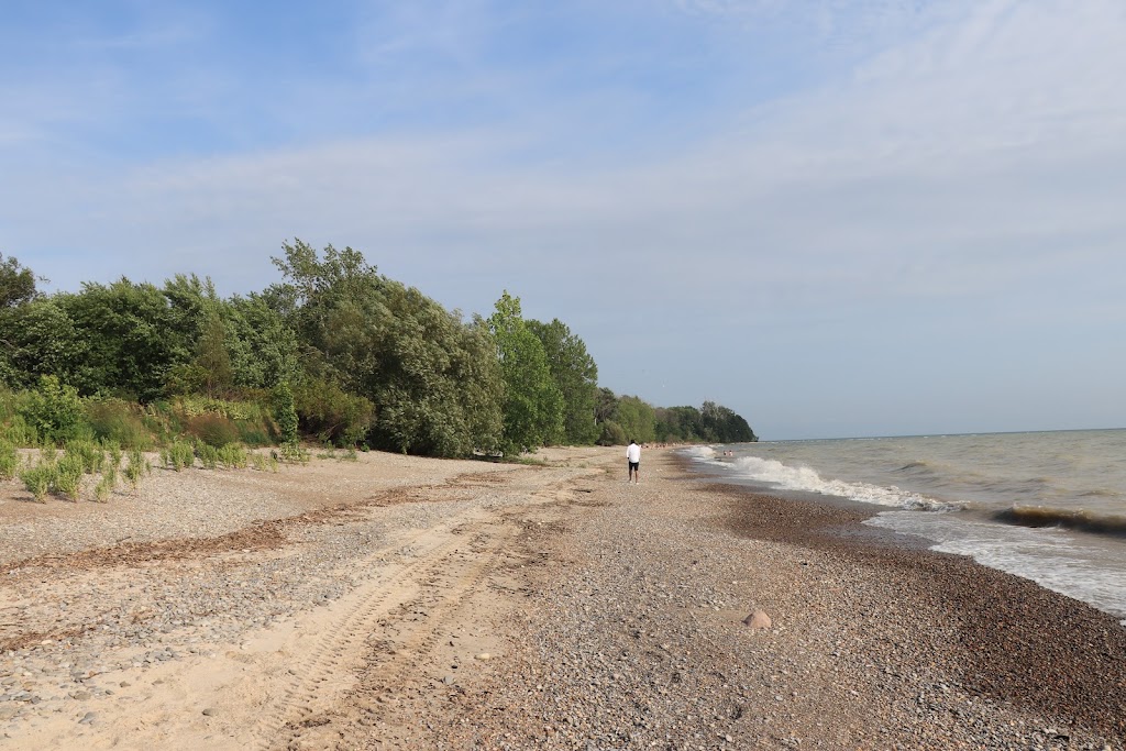 Rock Point Provincial Park | 215 Niece Rd, Dunnville, ON N1A 2X5, Canada | Phone: (905) 774-6642