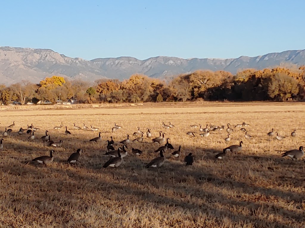 Los Poblanos Fields Open Space | 6000-6018 Los Poblanos Field Trails, Albuquerque, NM 87107, USA | Phone: (505) 768-4200