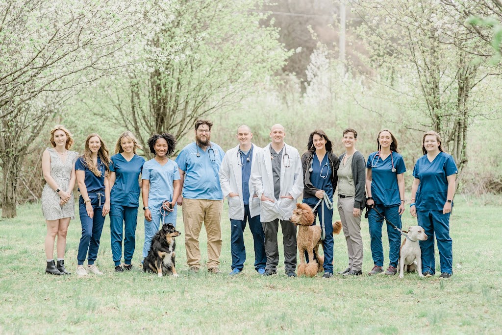 WesVet Animal Hospital | 5511 Edmondson Pike Suite 205, Nashville, TN 37211, USA | Phone: (615) 739-5824