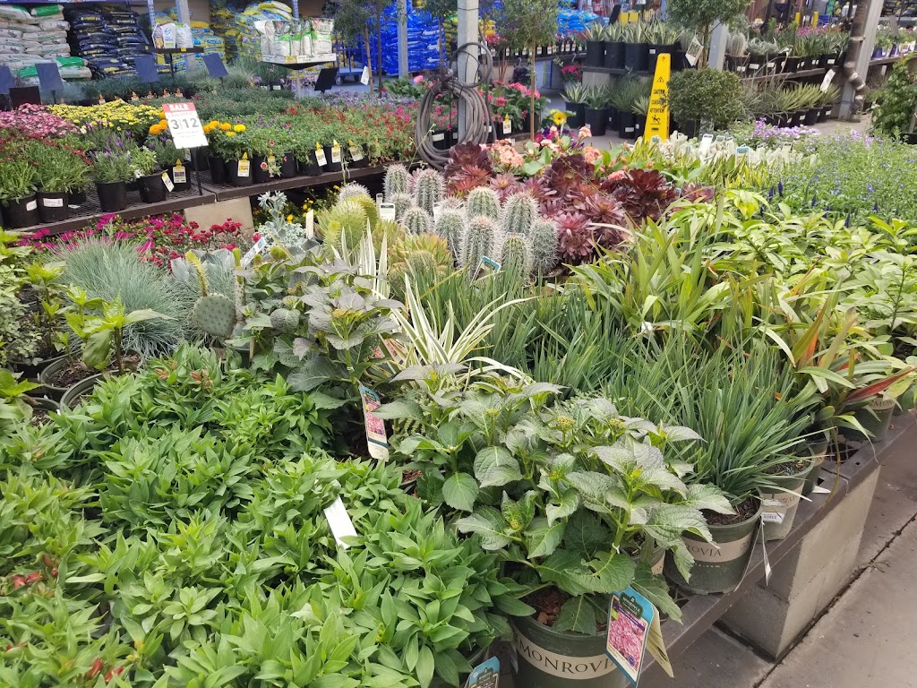 Lowes Garden Center | 2318 Northside Dr, San Diego, CA 92108, USA | Phone: (619) 584-5500