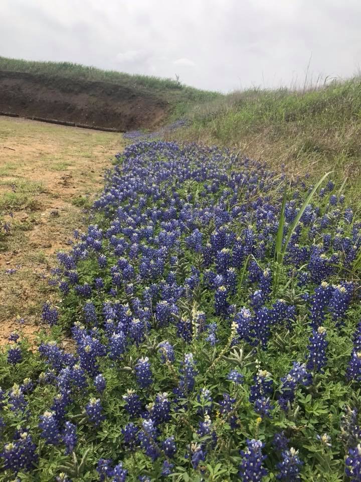 Lone Star Gun Range | 3795 Dry Creek Rd, Lockhart, TX 78644, USA | Phone: (512) 801-2624