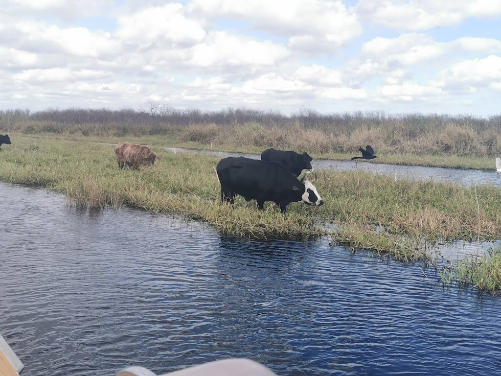 Wind Walker Airboat Charters | 8190 FL-520, Cocoa, FL 32926, USA | Phone: (321) 423-1447