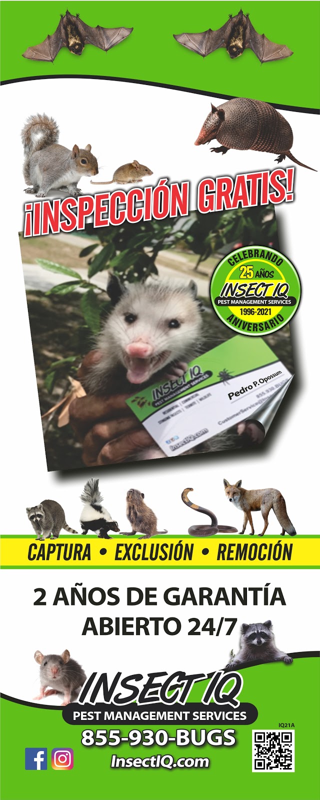 Insect IQ Inc | 5002 W Linebaugh Ave F, Tampa, FL 33624, USA | Phone: (813) 930-2847