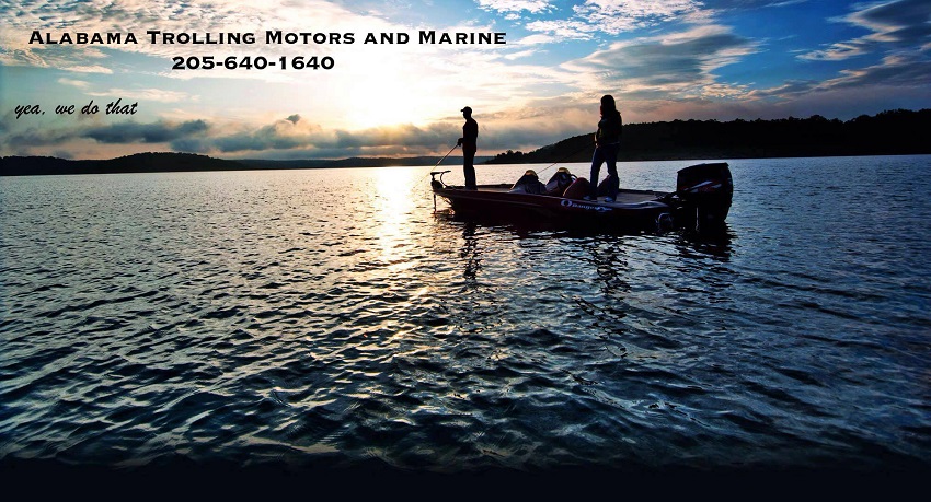 Alabama Trolling Motors | 1212 Markeeta Spur Rd, Moody, AL 35004, USA | Phone: (205) 640-1640