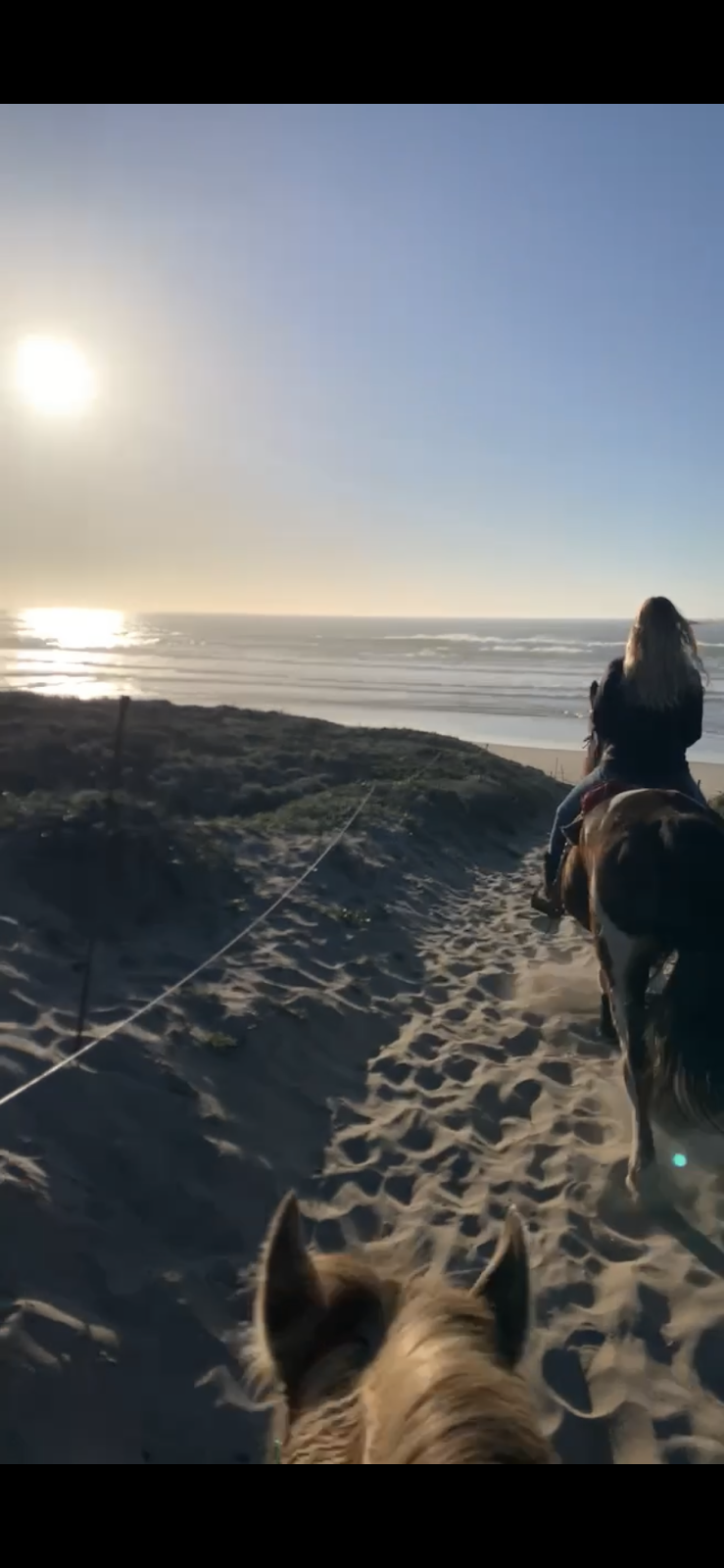 Gaited Pleasure Horse Ranch | 110 Paddon Rd, Watsonville, CA 95076, USA | Phone: (831) 818-5932