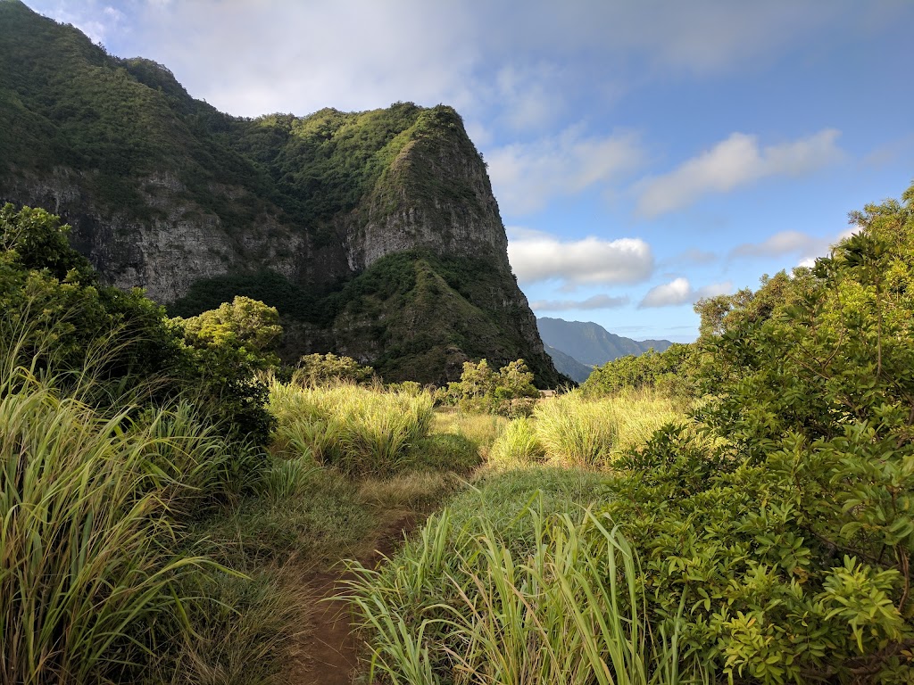 Kolekole Hike | Kolekole Dr, Wahiawa, HI 96786, USA | Phone: (808) 655-1434