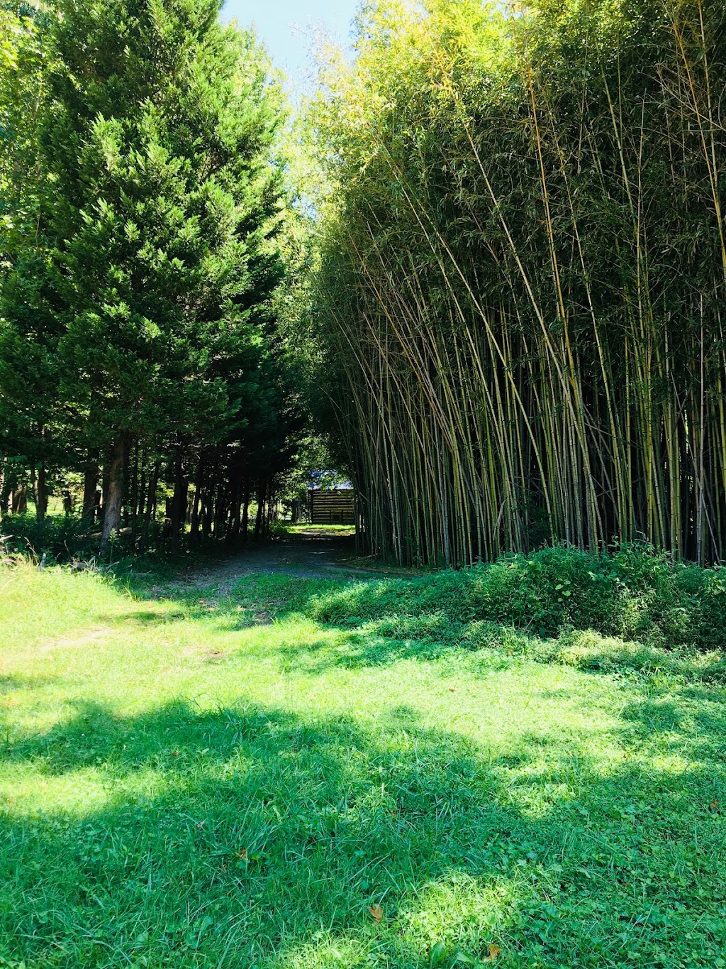 Vandalia Elementary School | 407 E Vandalia Rd, Greensboro, NC 27406, USA | Phone: (336) 370-8275