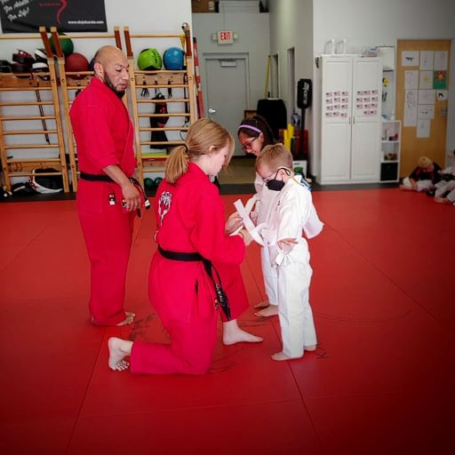 Dojo Karate - Medina | 212 Clydesdale Trail Ste 1020, Medina, MN 55340, USA | Phone: (763) 478-4968