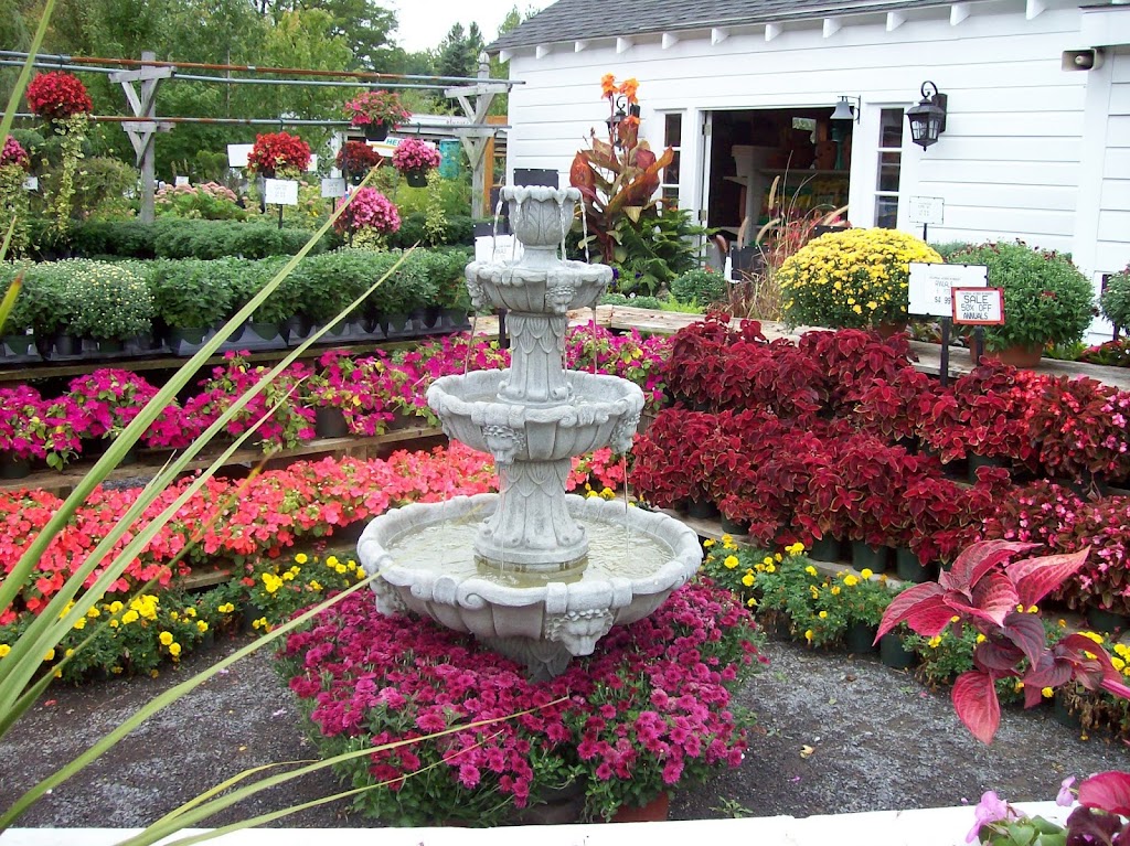 Colonial Acres Nursery | 2552 Western Ave, Altamont, NY 12009, USA | Phone: (518) 456-5348