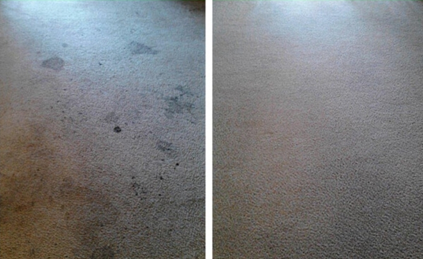 7mscarpetcleaningservices | 2444 Suttonwood Way NE, Buford, GA 30519, USA | Phone: (404) 499-6602