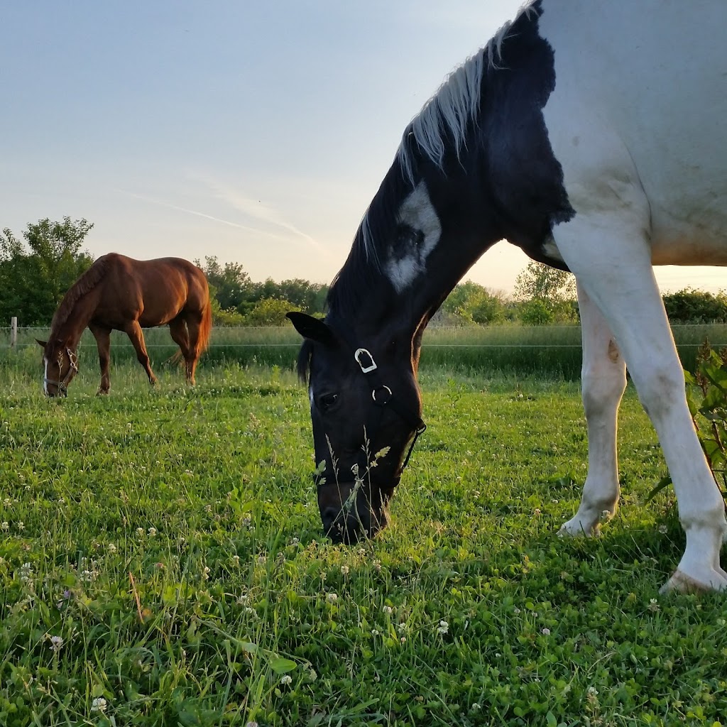 J&J Equestrian Center | 707 Edith Ave, Noblesville, IN 46060, USA | Phone: (317) 340-1420