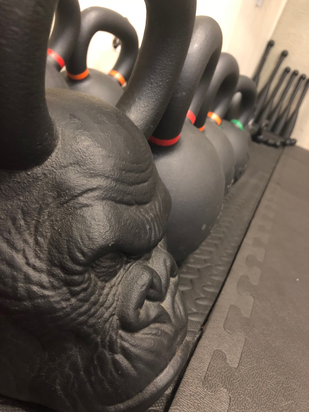 Sharkk Fitness | 5255 Xenon St, Arvada, CO 80002, USA | Phone: (586) 610-3647