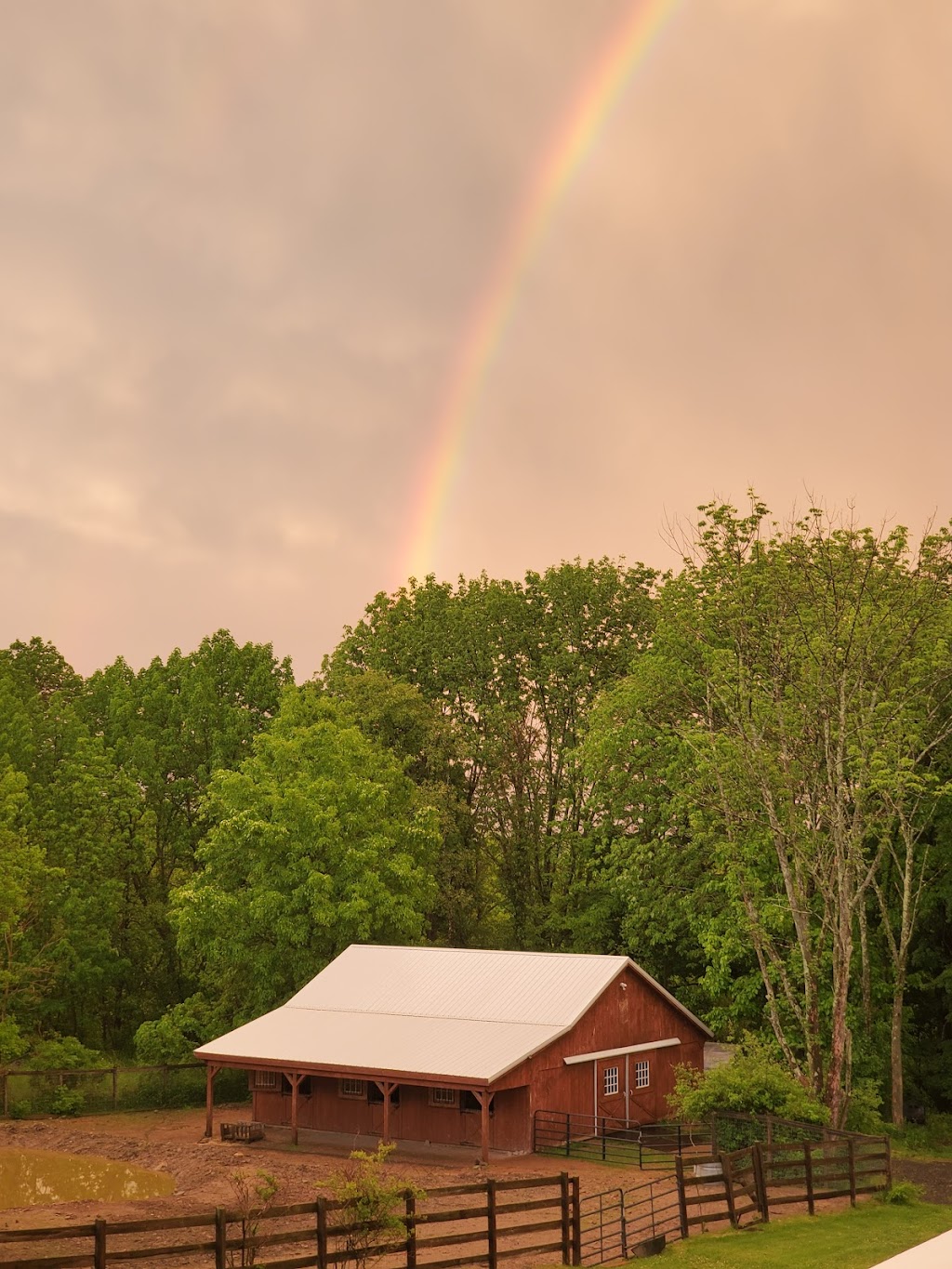Victory Hill Therapeutic Horsemanship | 1138 Mountain Rd, Port Jervis, NY 12771, USA | Phone: (845) 843-0020