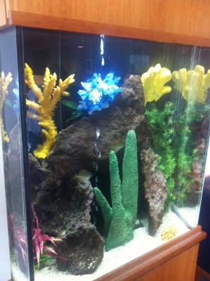 Advanced Aquarium Services | 18451 152nd Ave N, Dayton, MN 55327, USA | Phone: (612) 382-0622