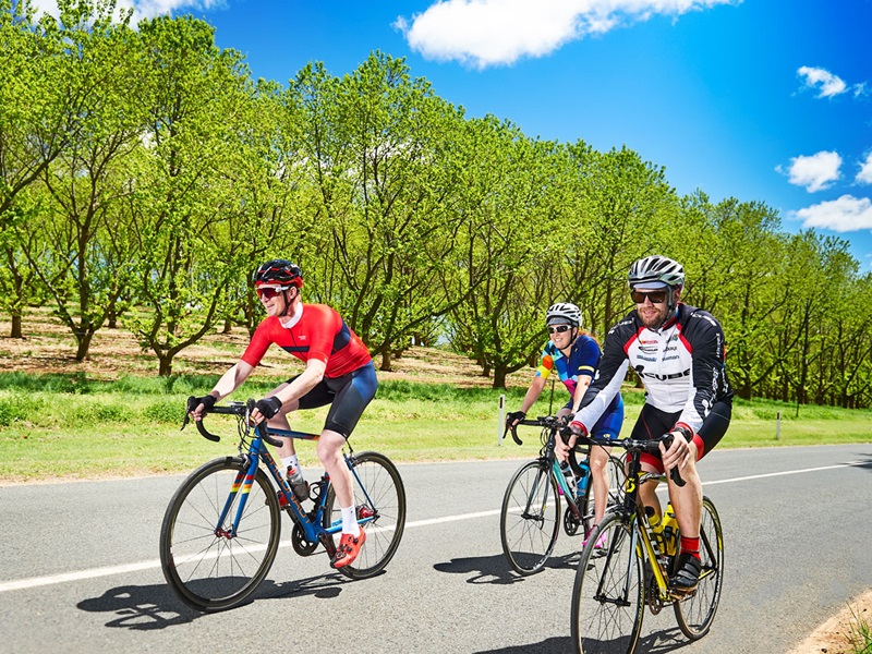 Niagara Cycling Tours | 45 Front St, Niagara-on-the-Lake, ON L0S 1J0, Canada | Phone: (800) 852-6930