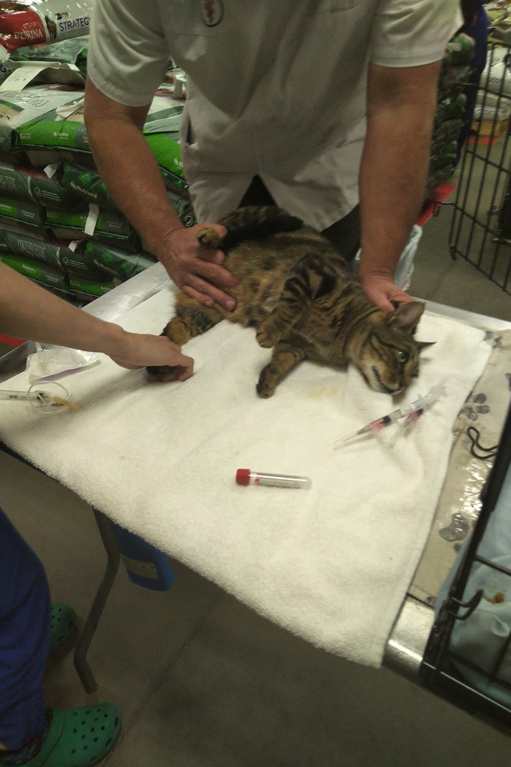 ProtectMyPet Vaccinations Clinic at Tractor Supply Co. | 115 Greystone Power Blvd, Dallas, GA 30157, USA | Phone: (770) 443-3352