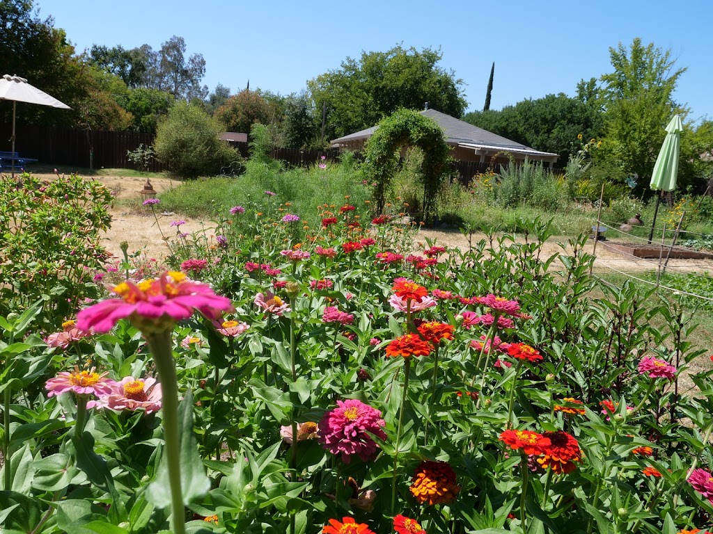 Lotus Garden Meditation Center | 9739-B, Fair Oaks Blvd, Fair Oaks, CA 95628, USA | Phone: (916) 944-8505