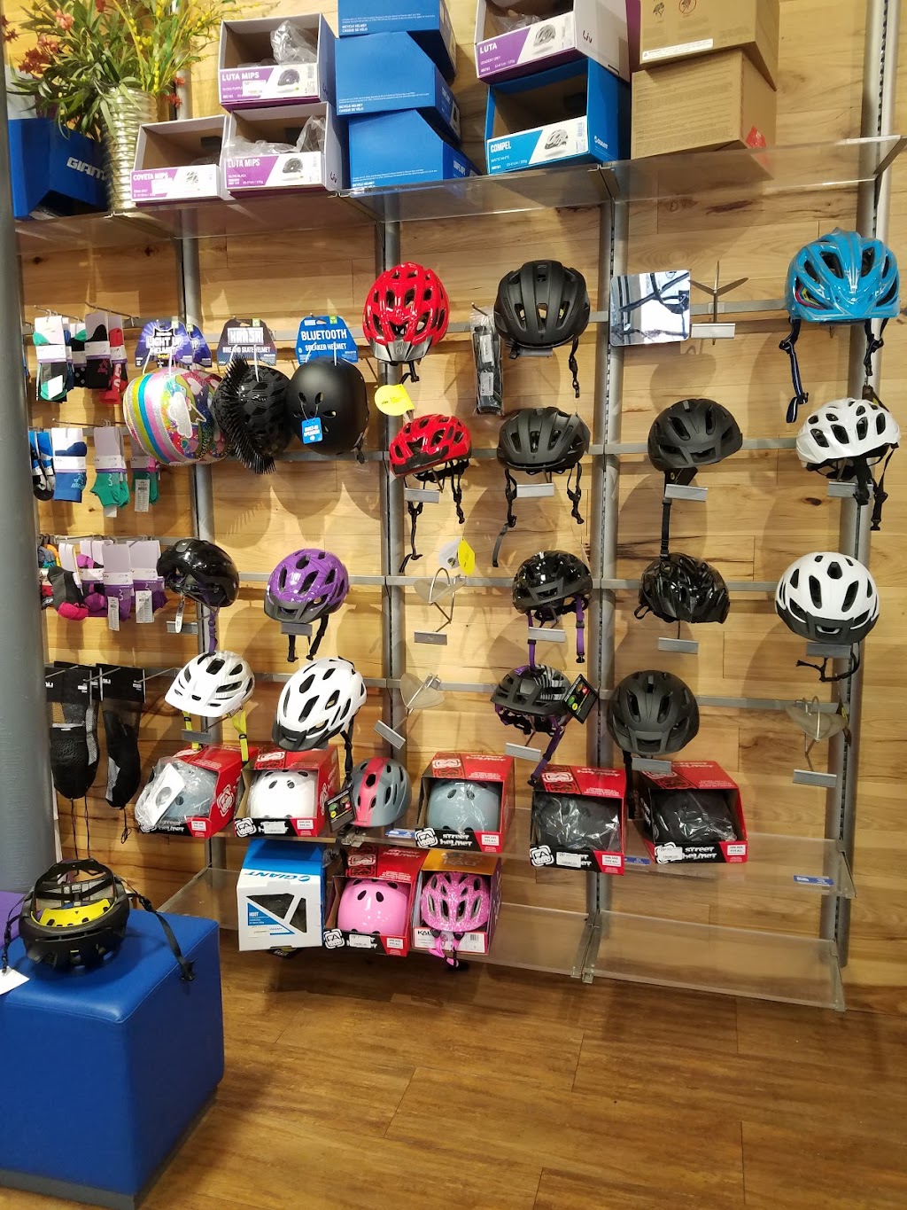 Bike Masters | 4802 E Ray Rd, Phoenix, AZ 85044, USA | Phone: (480) 598-3373