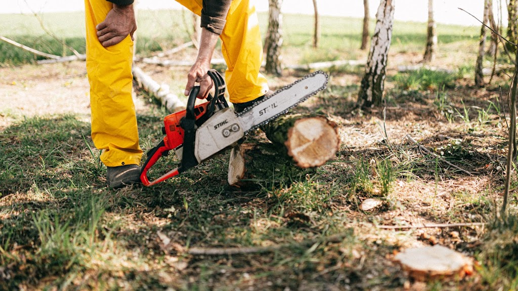 Fall Line Tree Service LLC | 309 Clark Rd, Seale, AL 36875 | Phone: (770) 468-2311