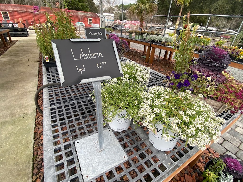 Allstar Garden Center | 11938 Pulaski Rd, Jacksonville, FL 32218, USA | Phone: (904) 240-0949