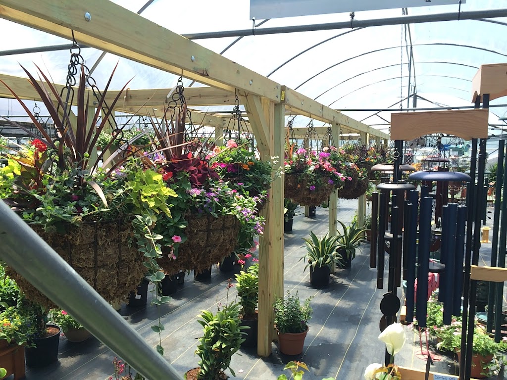 Home Grown Plants | 2675 E Audie Murphy Pkwy, 2675 W Audie Murphy Pkwy, Farmersville, TX 75442 | Phone: (972) 523-9356