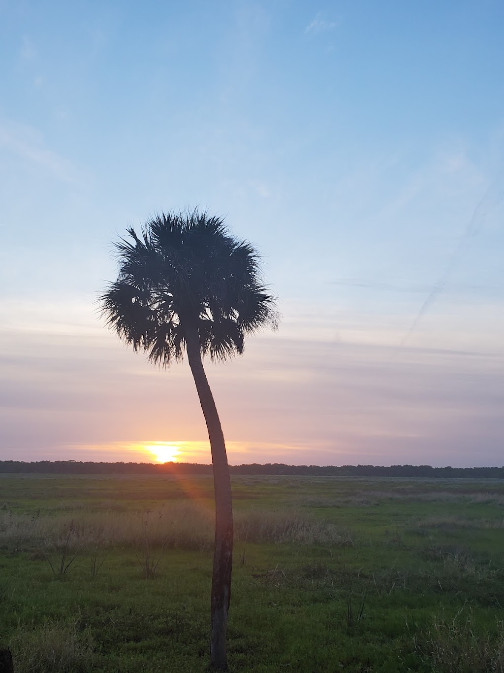 Myakka River State Park Big Flats Campground | Myakka State Park Rd, Sarasota, FL 34240, USA | Phone: (941) 361-6511