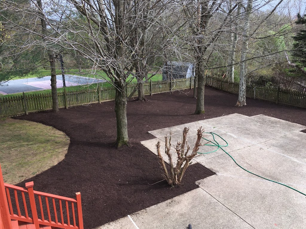 Borja Landscaping | 5910 Longfellow St, Riverdale, MD 20737, USA | Phone: (240) 705-0082