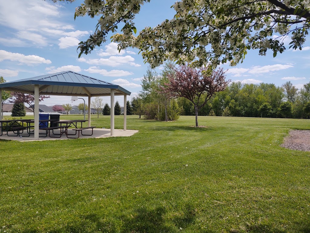 Nannyberry Park | 5165 Nannyberry Dr, Fitchburg, WI 53711, USA | Phone: (608) 270-4200