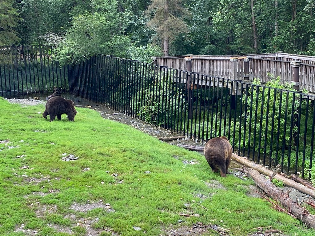 Brown Bear Exhibit | 4731 OMalley Rd, Anchorage, AK 99507, USA | Phone: (907) 346-2133