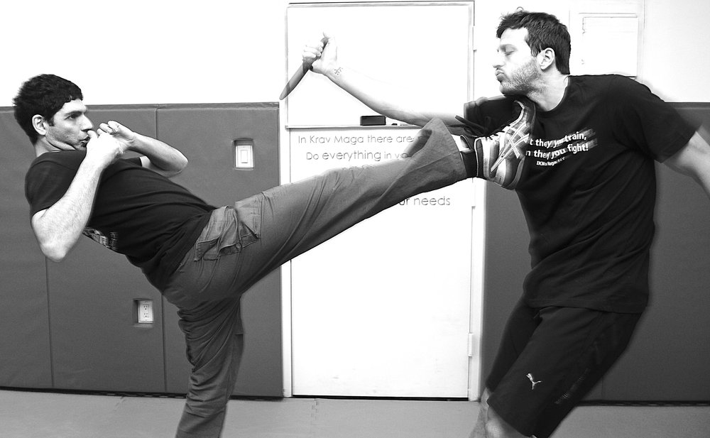 Krav Maga Experts Boise | 6431 W Ustick Rd, Boise, ID 83704, USA | Phone: (208) 999-7137