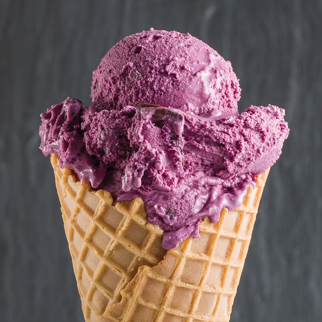 Graeters Ice Cream | 2939 Terminal Dr, Hebron, KY 41048, USA | Phone: (859) 767-7801