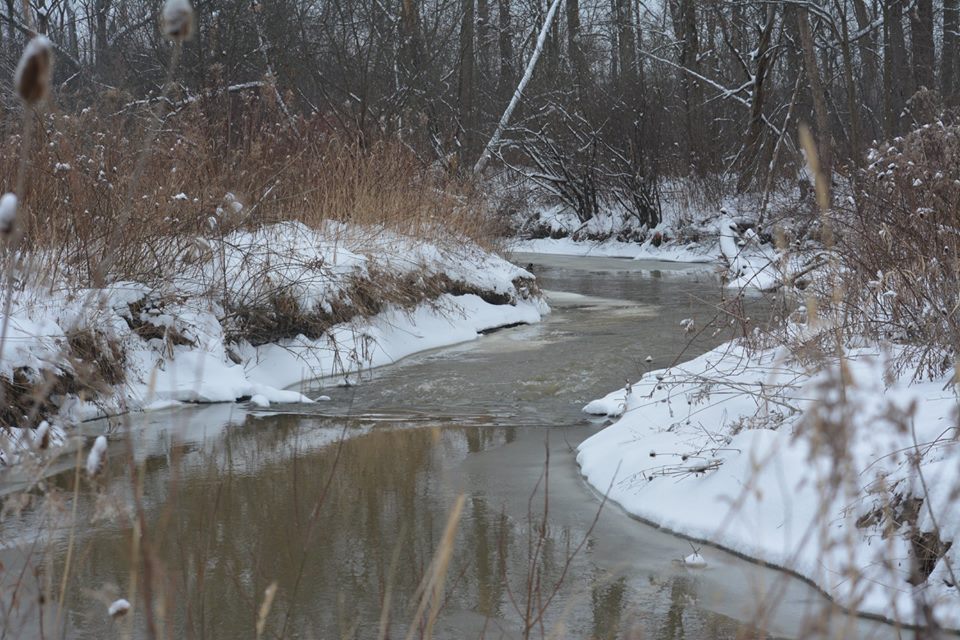 Pond Brook Conservation Area | 3973 E Aurora Rd, Twinsburg, OH 44087, USA | Phone: (330) 867-5511