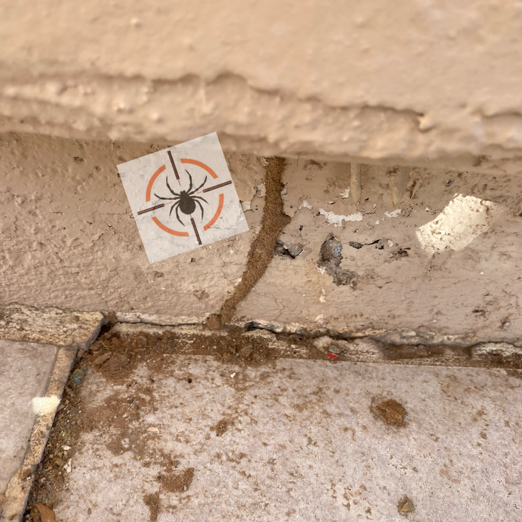 Arsenal Exterminating | 21467 E Sunset Dr, Queen Creek, AZ 85142, USA | Phone: (480) 232-4631