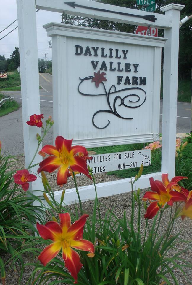 Daylily Valley Farm | 300 Tyro Rd, Baden, PA 15005, USA | Phone: (724) 876-0120