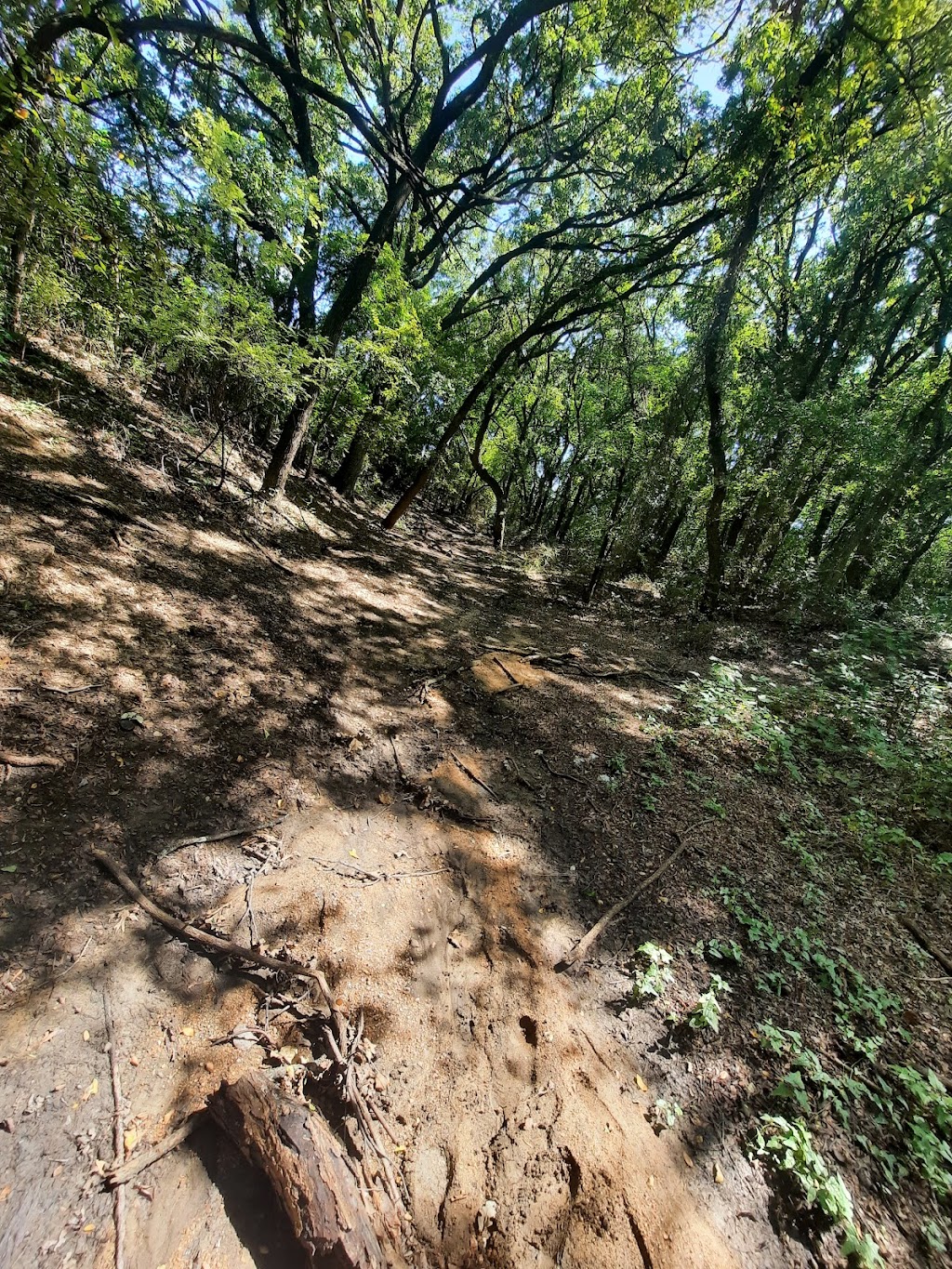 Johnny Broyles Nature Trail | 100 W Eldorado Pkwy, Little Elm, TX 75068 | Phone: (972) 731-3296