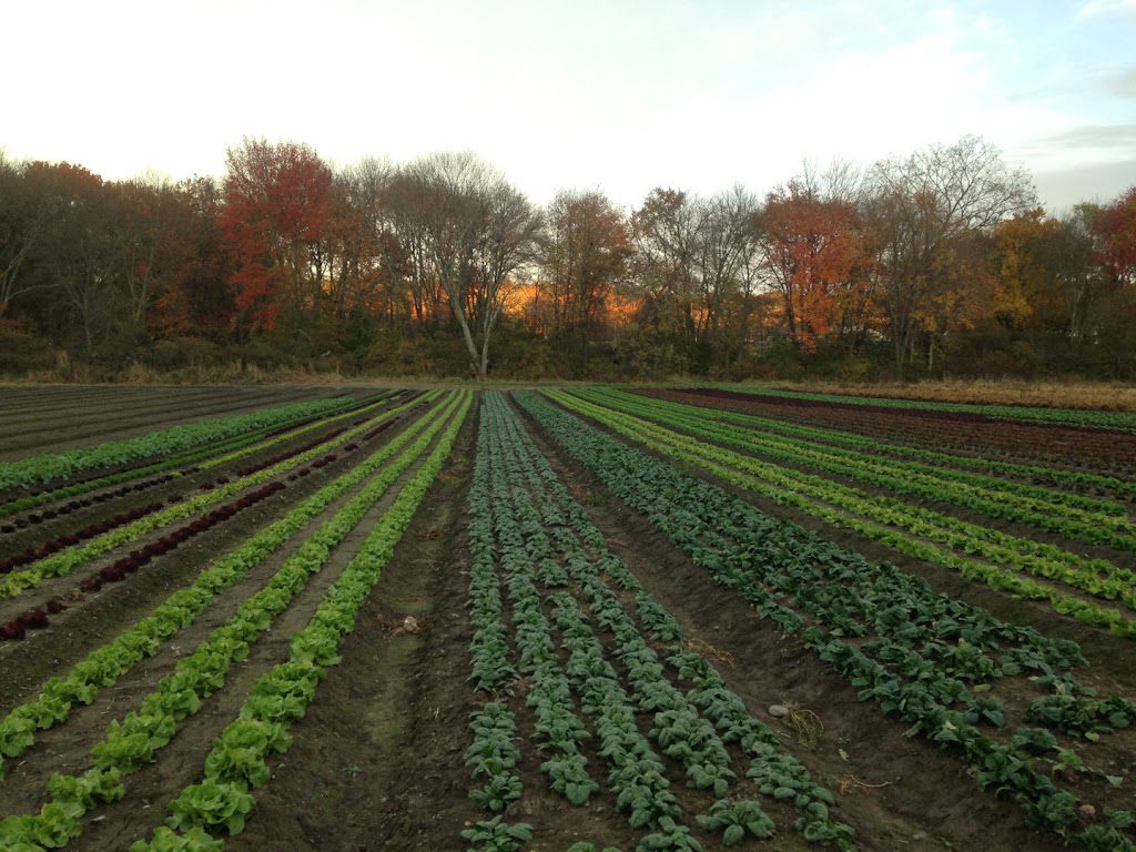 Verrill Farm | 11 Wheeler Rd, Concord, MA 01742, USA | Phone: (978) 369-4494